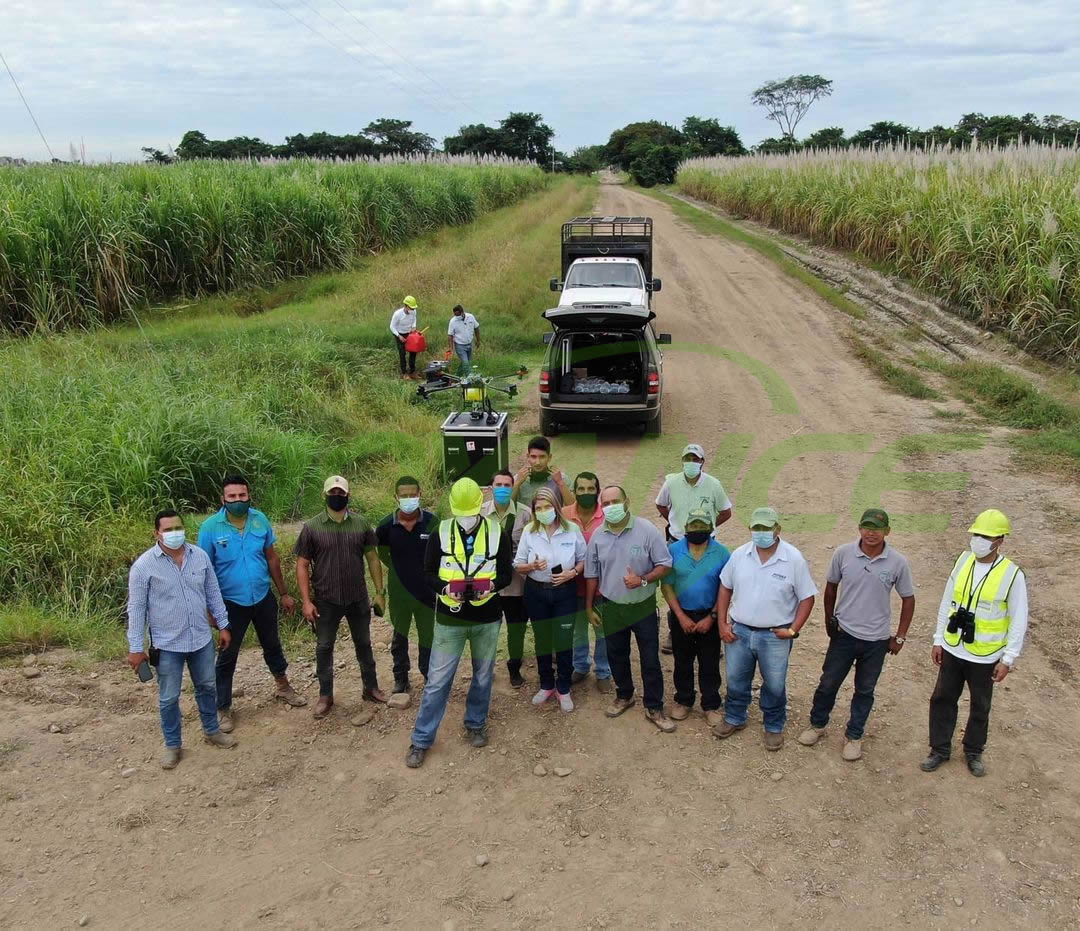 Joyance drone demo in sugarcane field in Latin America