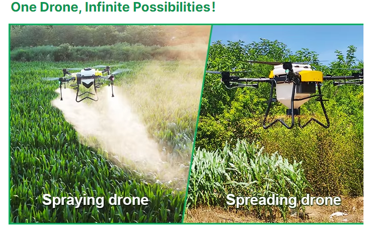 daf50cd0-9d6e-44bf-8bb2-6ed306823544